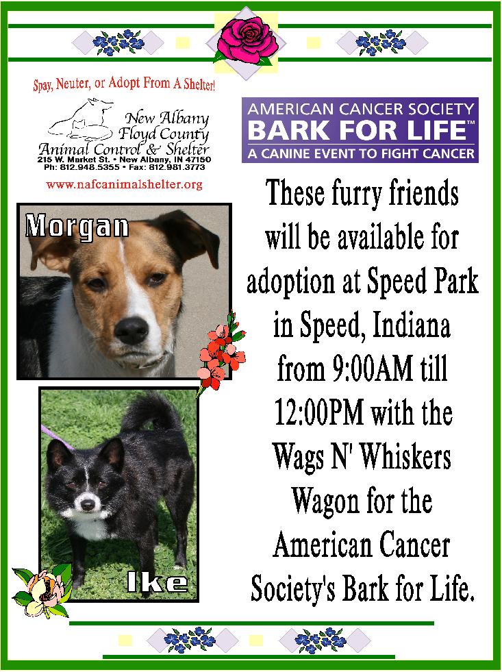 Bark For Life New Albany/Floyd County Animal Shelter