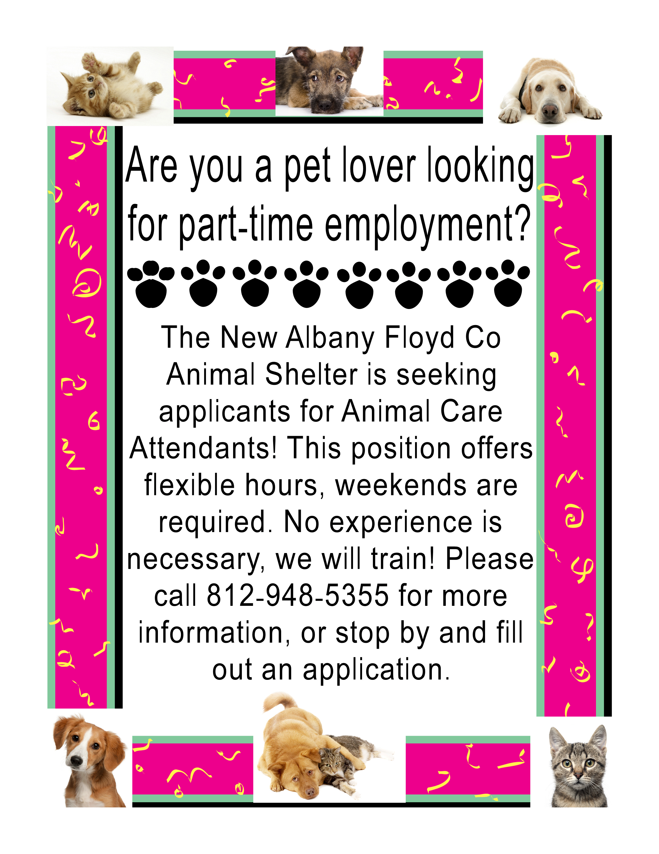 animal-shelter-jobs-for-highschool-students