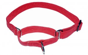 All Nylon Martingale