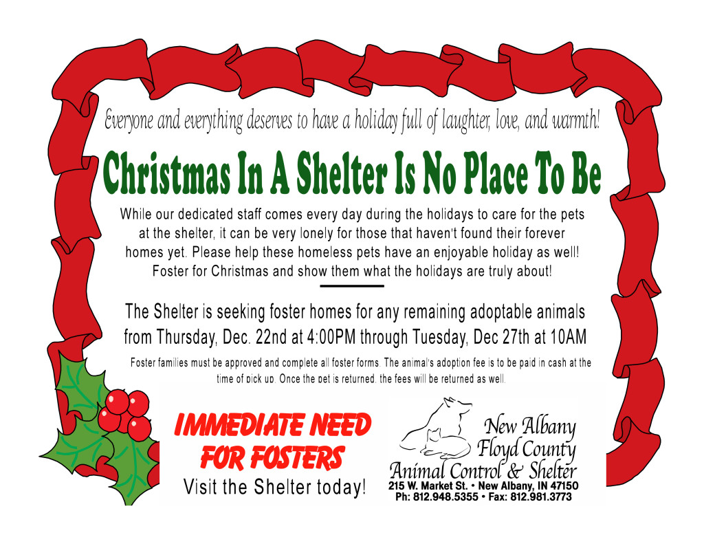 christmas-in-the-shelter