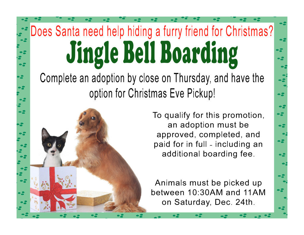 jingle-bell-boarding